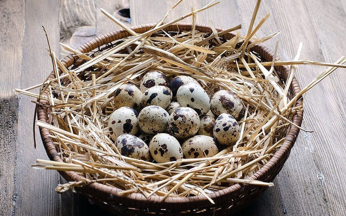 The farm stand with baskets of fresh eggs on display